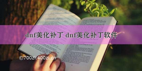 dnf美化补丁 dnf美化补丁软件