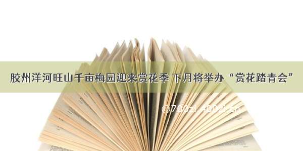 胶州洋河旺山千亩梅园迎来赏花季 下月将举办“赏花踏青会”