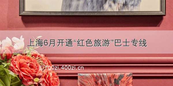 上海6月开通“红色旅游”巴士专线