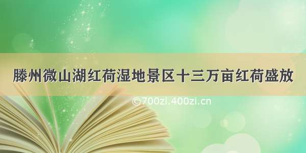 滕州微山湖红荷湿地景区十三万亩红荷盛放