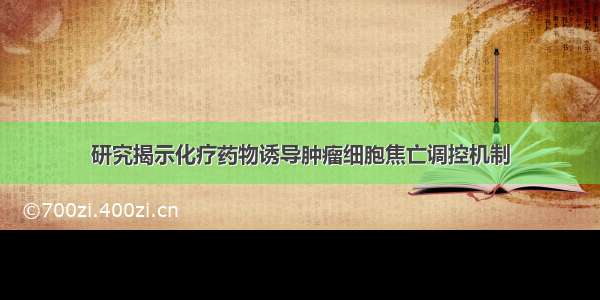 研究揭示化疗药物诱导肿瘤细胞焦亡调控机制