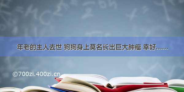 年老的主人去世 狗狗身上莫名长出巨大肿瘤 幸好……