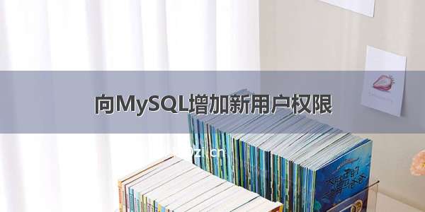 向MySQL增加新用户权限