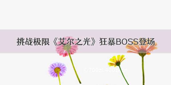 挑战极限《艾尔之光》狂暴BOSS登场