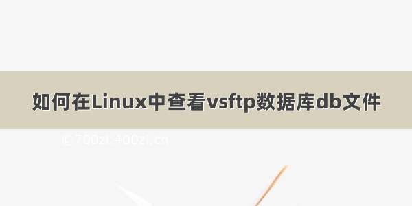 如何在Linux中查看vsftp数据库db文件