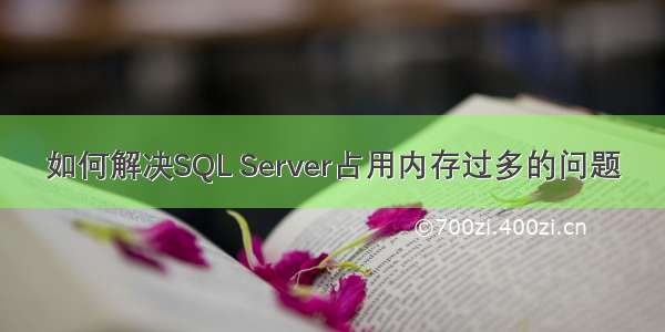 如何解决SQL Server占用内存过多的问题