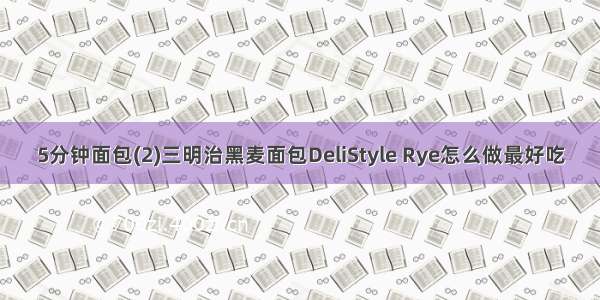 5分钟面包(2)三明治黑麦面包DeliStyle Rye怎么做最好吃