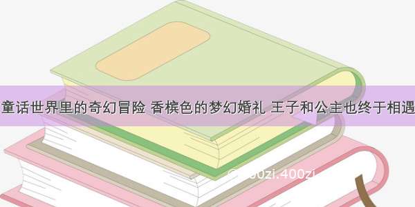 童话世界里的奇幻冒险 香槟色的梦幻婚礼 王子和公主也终于相遇