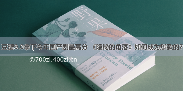 豆瓣9.0拿下今年国产剧最高分 《隐秘的角落》如何成为爆款的？