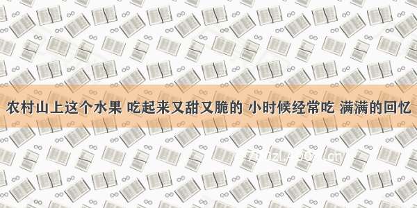 农村山上这个水果 吃起来又甜又脆的 小时候经常吃 满满的回忆