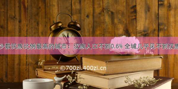 少数民族比例最高的城市：汉族人口不到0.6% 全城几乎见不到汉族