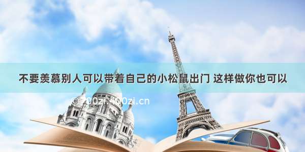 不要羡慕别人可以带着自己的小松鼠出门 这样做你也可以