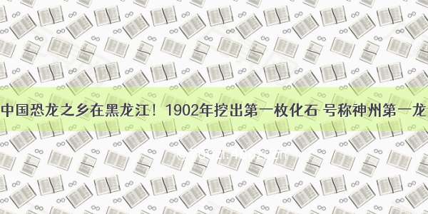 中国恐龙之乡在黑龙江！1902年挖出第一枚化石 号称神州第一龙