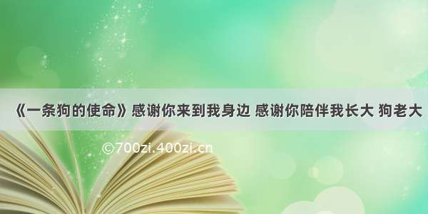 《一条狗的使命》感谢你来到我身边 感谢你陪伴我长大 狗老大