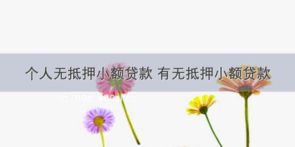 个人无抵押小额贷款 有无抵押小额贷款