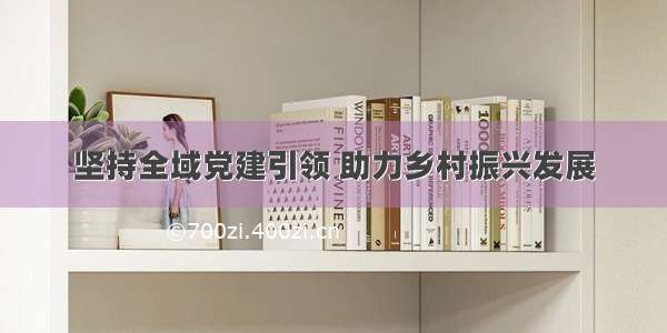 坚持全域党建引领 助力乡村振兴发展