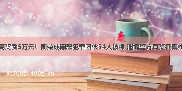 最高奖励5万元！周荣成黑恶犯罪团伙54人被抓 淄博警方有奖征集线索