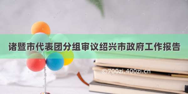 诸暨市代表团分组审议绍兴市政府工作报告