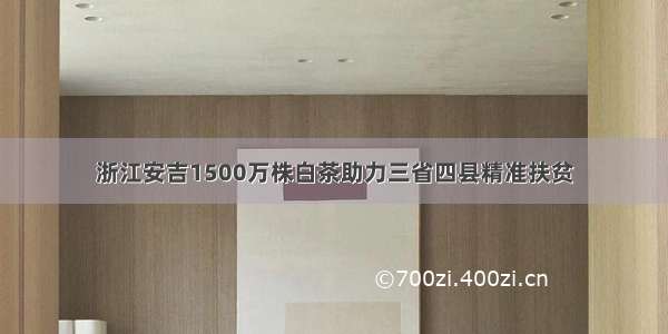 浙江安吉1500万株白茶助力三省四县精准扶贫