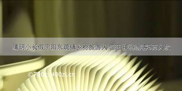 清明小长假宁阳东疏镇乡村旅游人气旺 接待游客5万人次