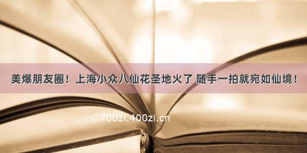 美爆朋友圈！上海小众八仙花圣地火了 随手一拍就宛如仙境！