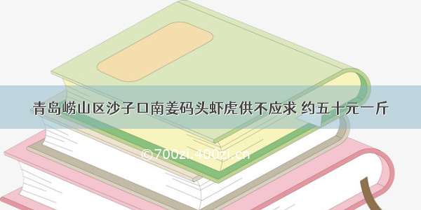 青岛崂山区沙子口南姜码头虾虎供不应求 约五十元一斤