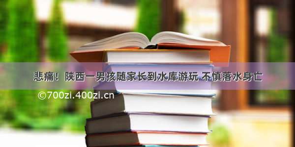 悲痛！陕西一男孩随家长到水库游玩 不慎落水身亡