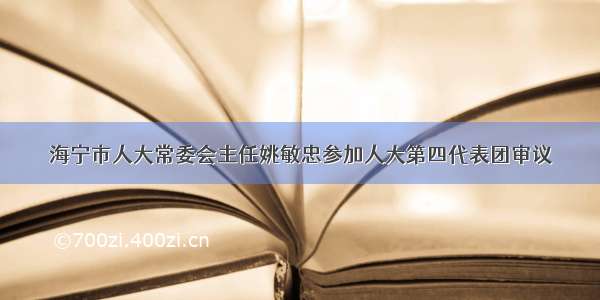 海宁市人大常委会主任姚敏忠参加人大第四代表团审议