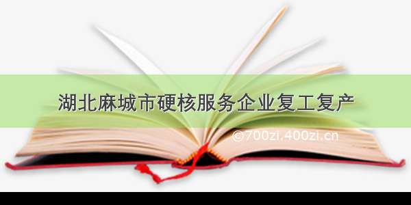 湖北麻城市硬核服务企业复工复产