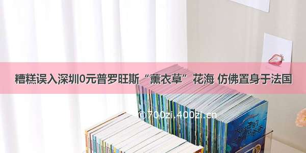 糟糕误入深圳0元普罗旺斯“薰衣草”花海 仿佛置身于法国