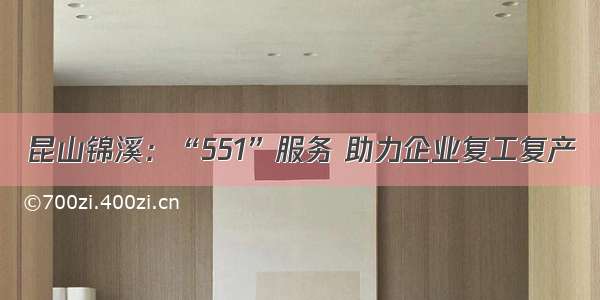 昆山锦溪：“551”服务 助力企业复工复产