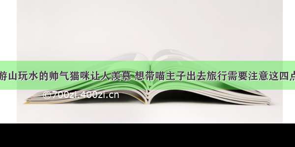 游山玩水的帅气猫咪让人羡慕 想带喵主子出去旅行需要注意这四点