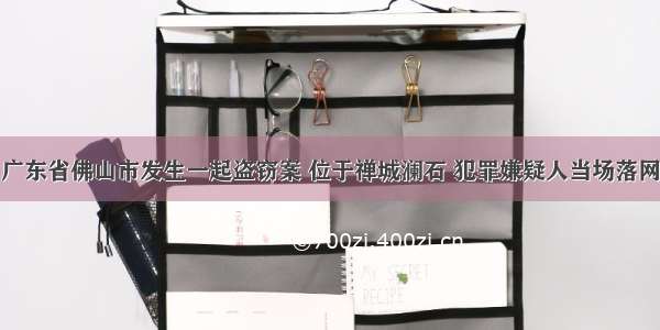 广东省佛山市发生一起盗窃案 位于禅城澜石 犯罪嫌疑人当场落网