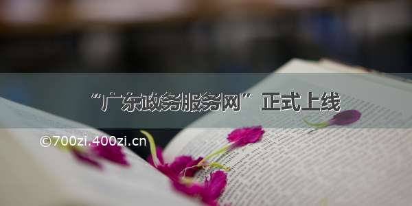 “广东政务服务网”正式上线