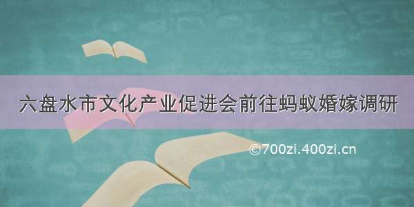 六盘水市文化产业促进会前往蚂蚁婚嫁调研