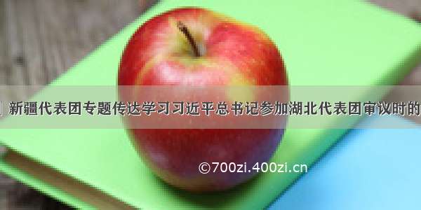 「聚焦两会」新疆代表团专题传达学习习近平总书记参加湖北代表团审议时的重要讲话精神