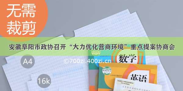 安徽阜阳市政协召开“大力优化营商环境”重点提案协商会