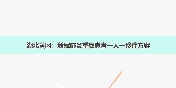 湖北黄冈：新冠肺炎重症患者一人一诊疗方案