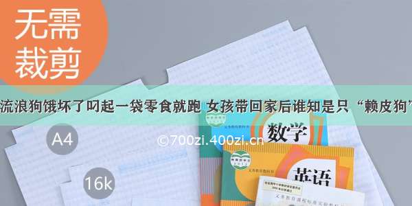 流浪狗饿坏了叼起一袋零食就跑 女孩带回家后谁知是只“赖皮狗”