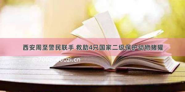 西安周至警民联手 救助4只国家二级保护动物猪獾