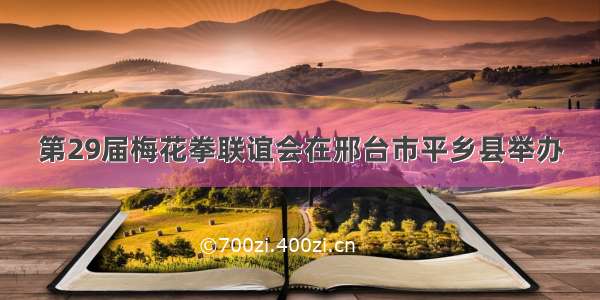 第29届梅花拳联谊会在邢台市平乡县举办