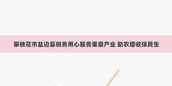 攀枝花市盐边县税务用心服务果桑产业 助农增收保民生