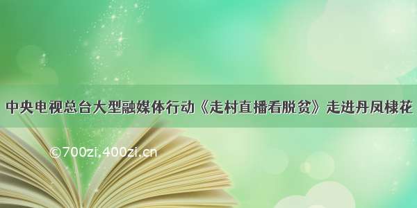 中央电视总台大型融媒体行动《走村直播看脱贫》走进丹凤棣花