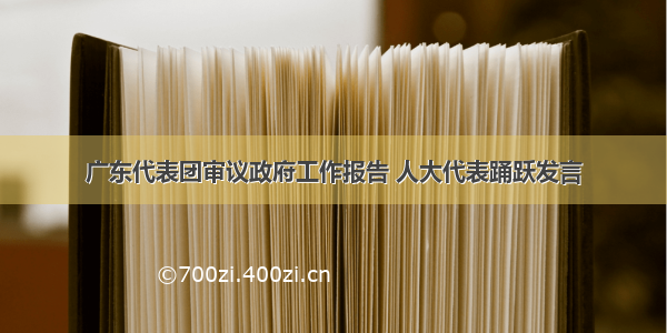 广东代表团审议政府工作报告 人大代表踊跃发言