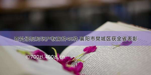 查处侵犯知识产权案件46件 襄阳市樊城区获全省表彰