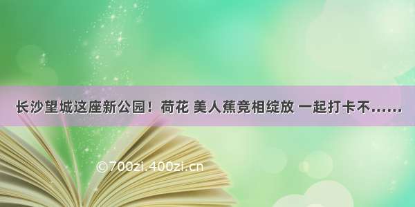 长沙望城这座新公园！荷花 美人蕉竞相绽放 一起打卡不……