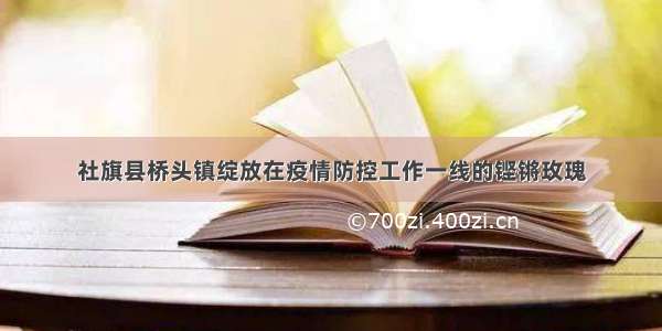 社旗县桥头镇绽放在疫情防控工作一线的铿锵玫瑰