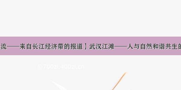 【大江奔流——来自长江经济带的报道】武汉江滩——人与自然和谐共生的亲水乐园