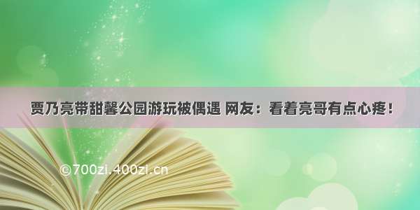 贾乃亮带甜馨公园游玩被偶遇 网友：看着亮哥有点心疼！