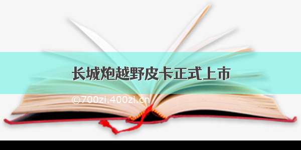 长城炮越野皮卡正式上市